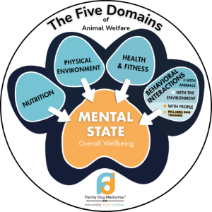 The Five Domains of Animal Welfare