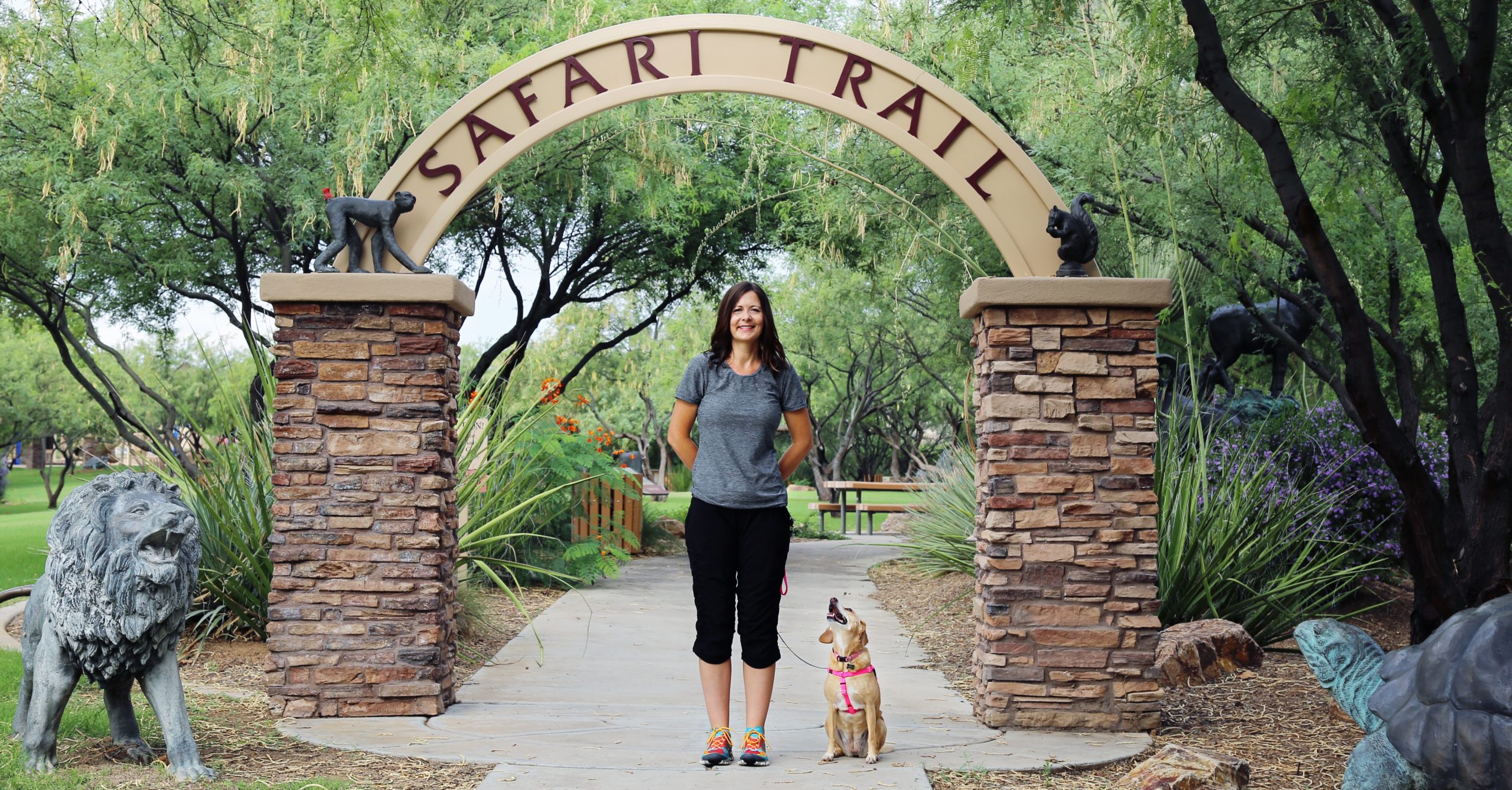 tucson private dog training